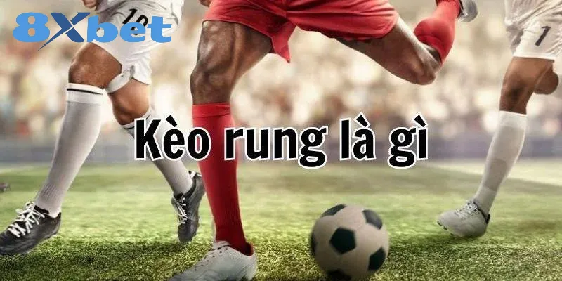 Kèo rung là gì? Hướng dẫn về cách bắt kèo và thắng lớn tìm hiểu về kèo rung